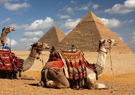 The best of Egypt